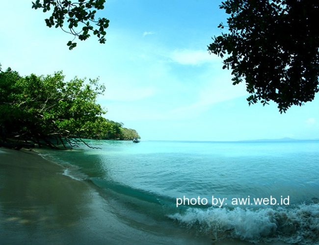 Pulau Peucang Ujung Kulon
